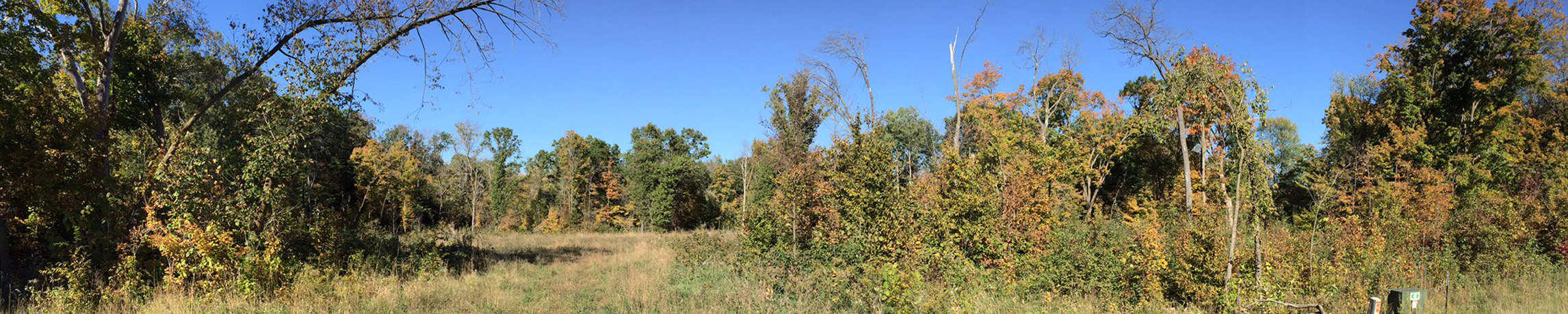 Brockway Hollow